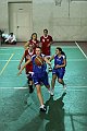 IMG_3948pallacanestro Roma